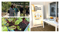 Abenteuer Kita-Acker | © Netzwerk Gesunde Kita